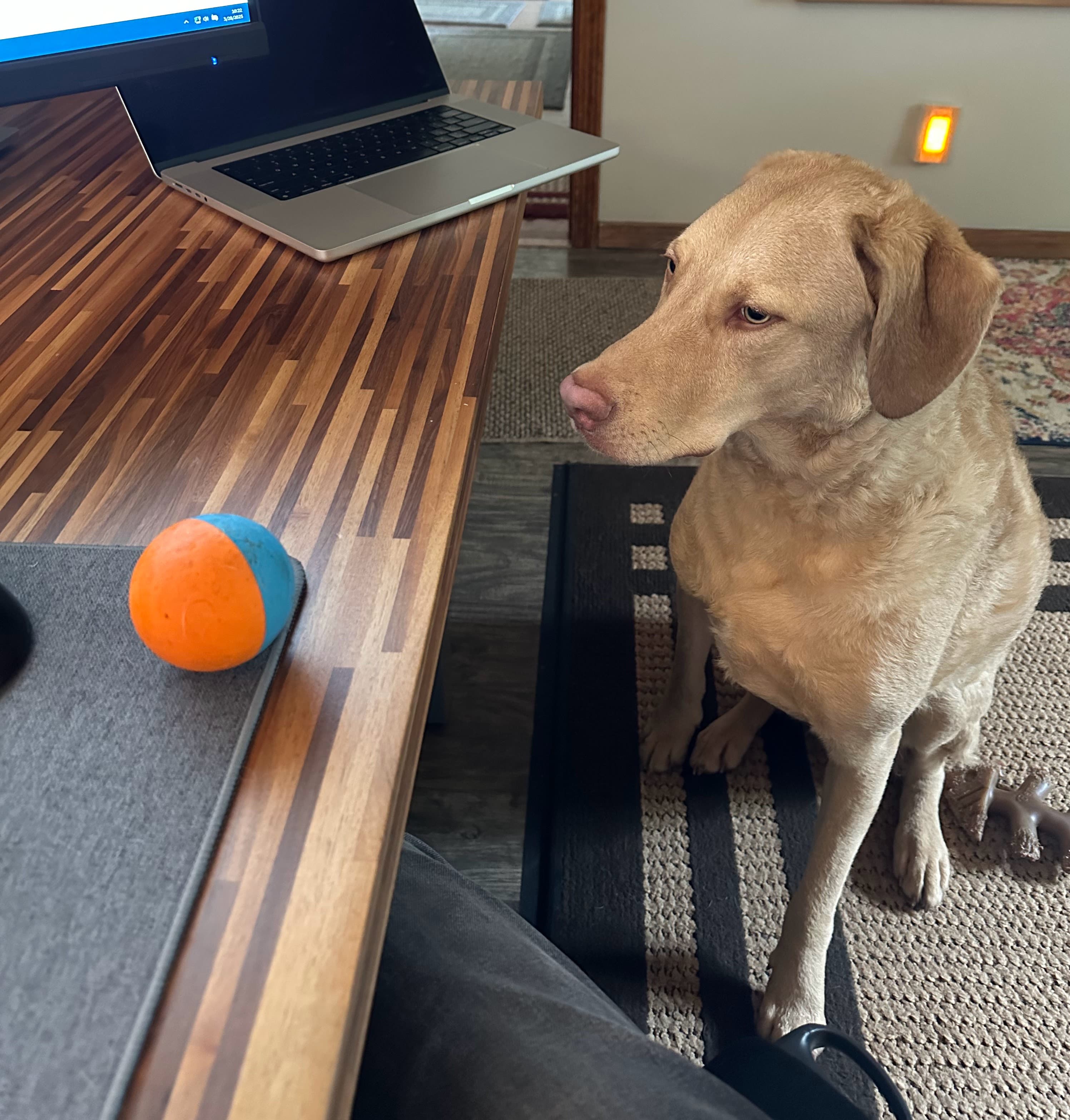 Javi Says Throooooowit